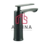 Rolin Mitigeur Lavabo Noir Mat en Inox