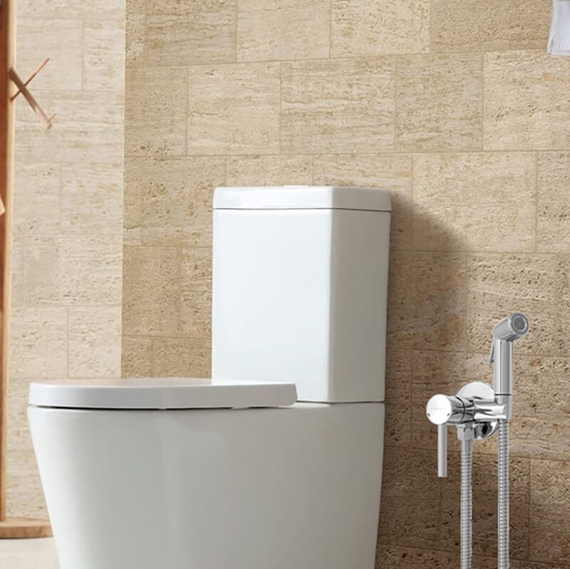 Douchette Toilette avec Melangeur Encastrable Clever